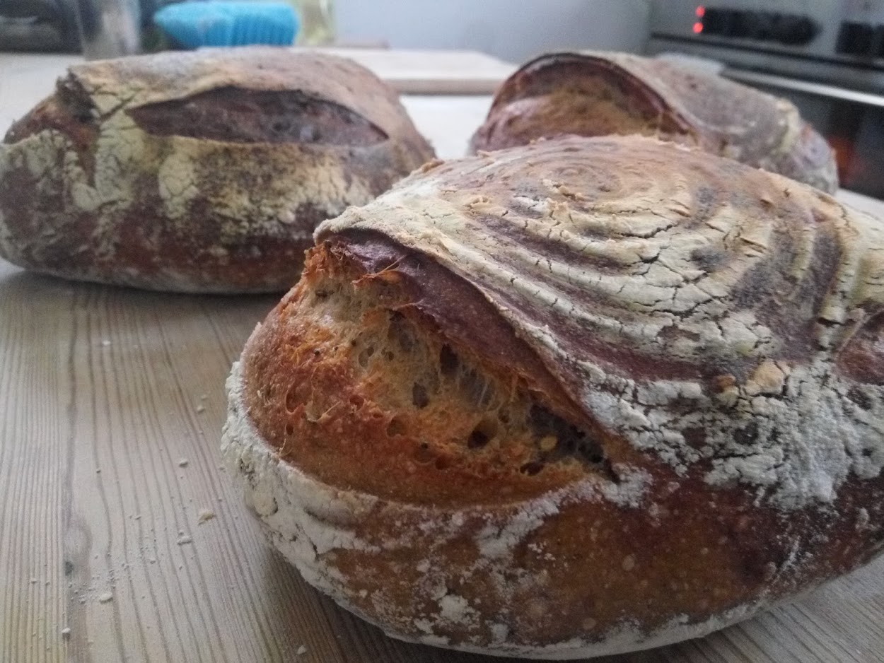 Advanced sourdough